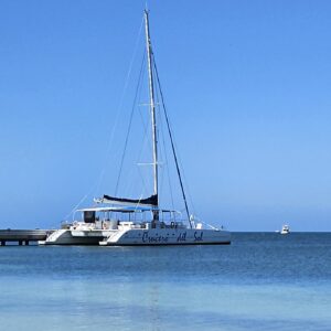 Catamaran - paradise island and dolphins