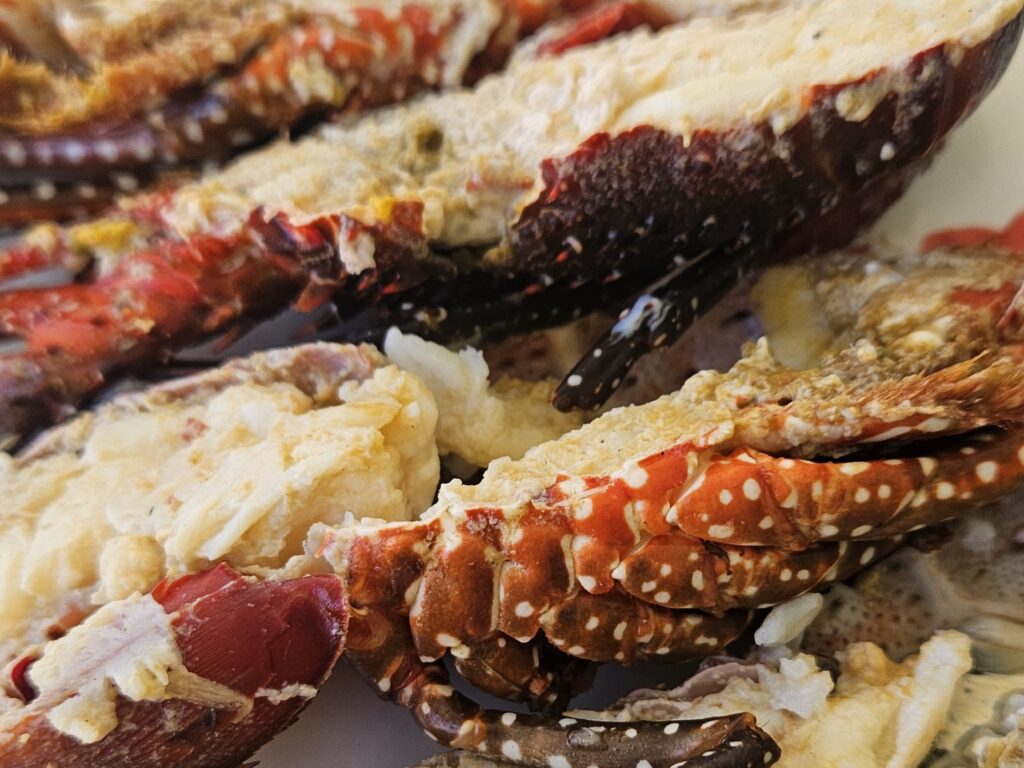 kuba-oriente-owoce-morza