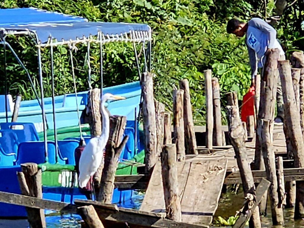 Rejs po Jeziorze Nikaragua i obserwacja ptaków wodnych w Granadzie.