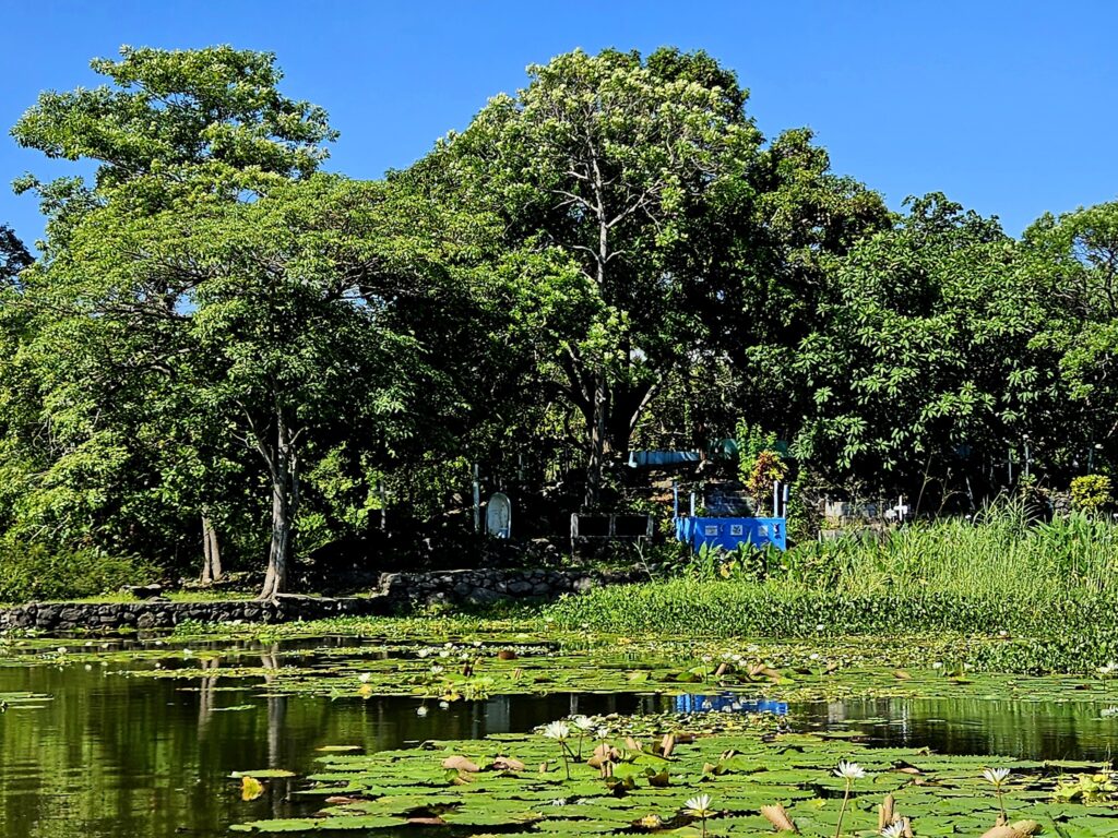 Obserwacja przyrody na Jeziorze Nikaragua.