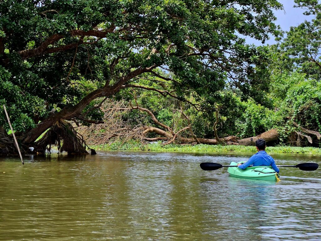Kajaki wokół Wyspy Ometepe.