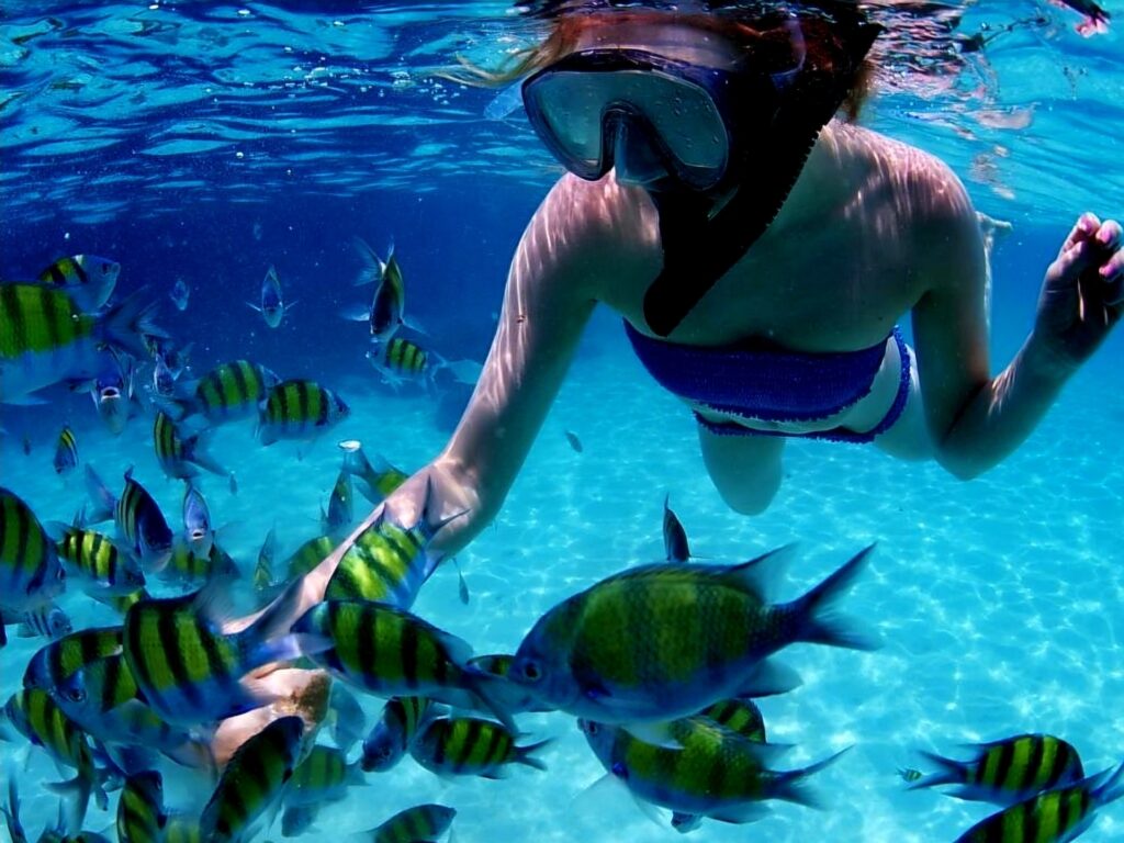 Snorkling w turkusowych wodach San Blas.